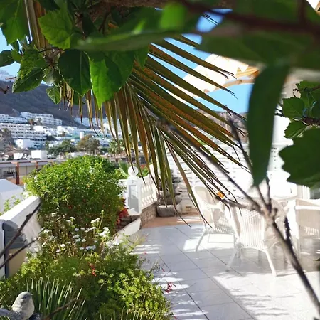 Ravi Puerto Rico, Gran Canaria Puerto Rico (Gran Canaria)